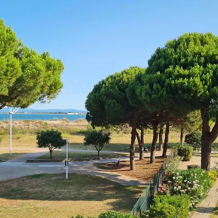 Studio Escale Plage Avec Piscine Le Grau-du-Roi Exterior foto